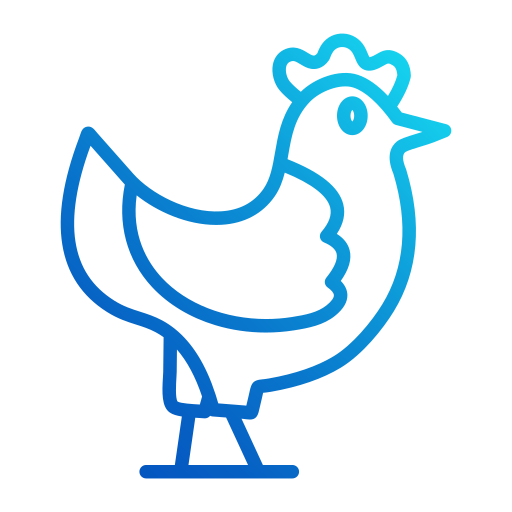 chicken